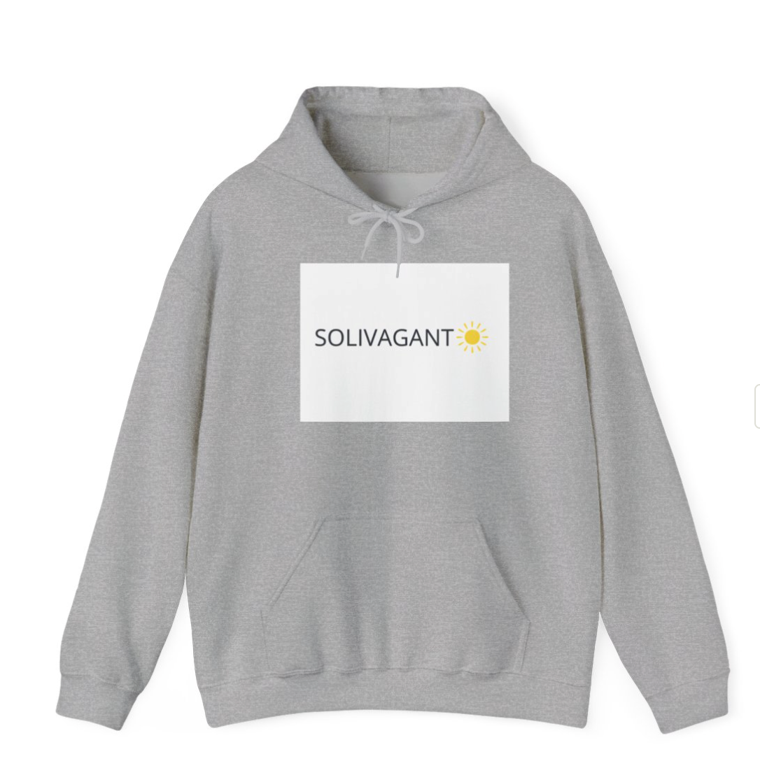 Sweat à Capuche Gris Slvgnt
