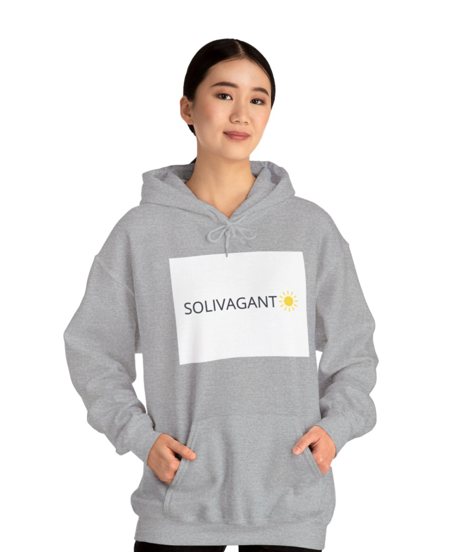 Sweat à Capuche Gris Slvgnt